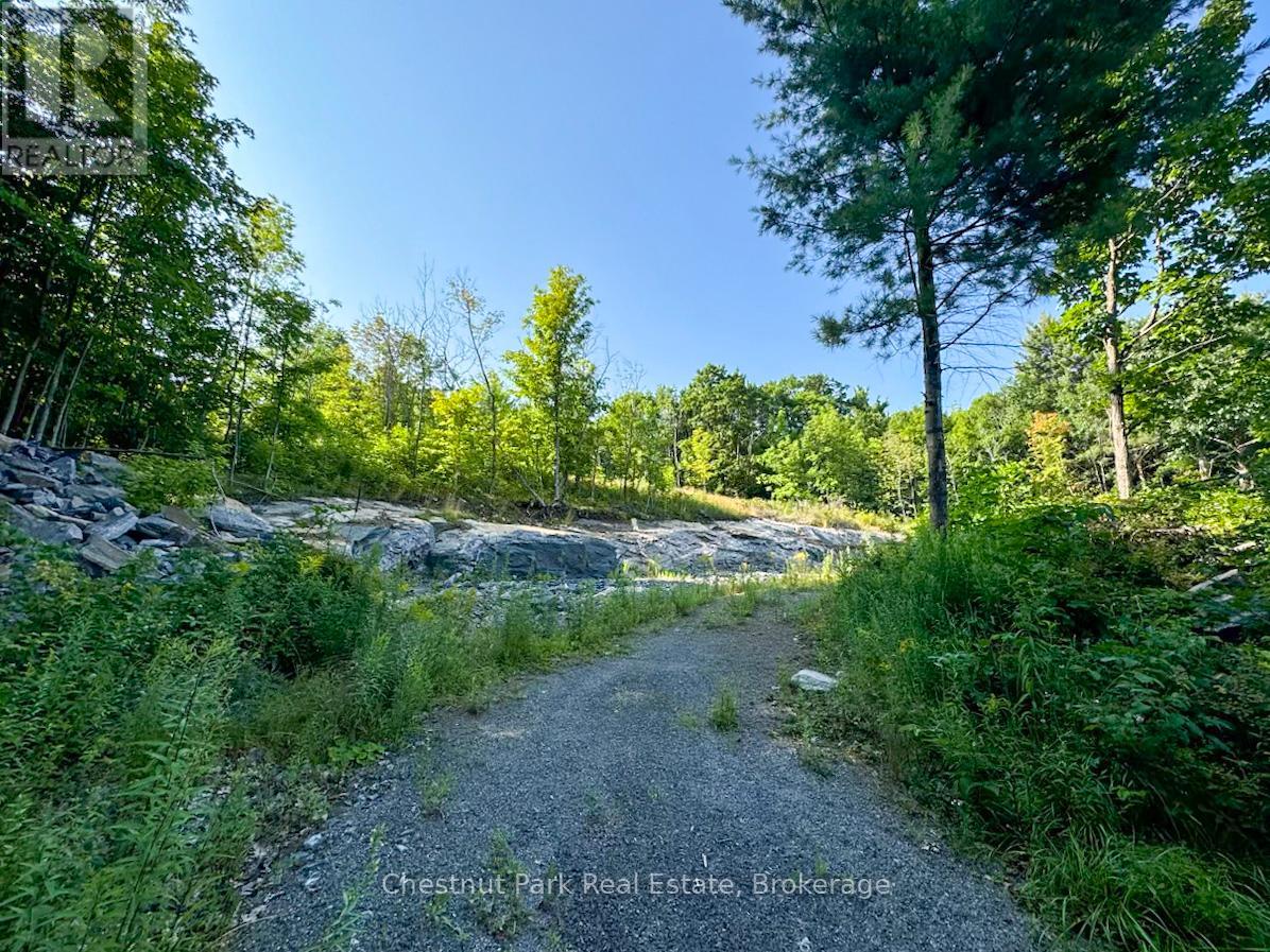 1681 Muskoka Beach Road, Bracebridge, Ontario  P1P 1R1 - Photo 3 - X12235841
