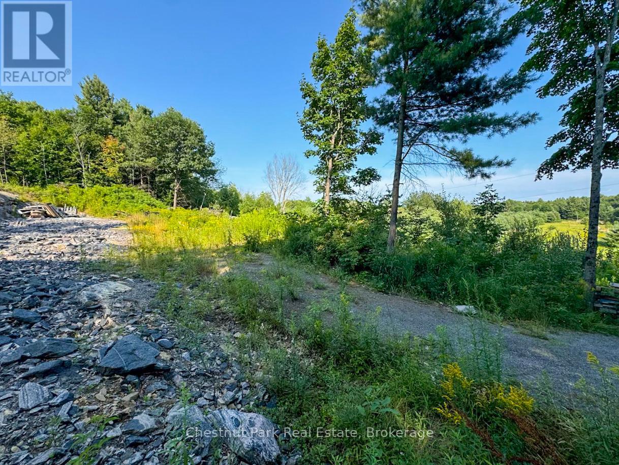 1681 Muskoka Beach Road, Bracebridge, Ontario  P1P 1R1 - Photo 5 - X12235841