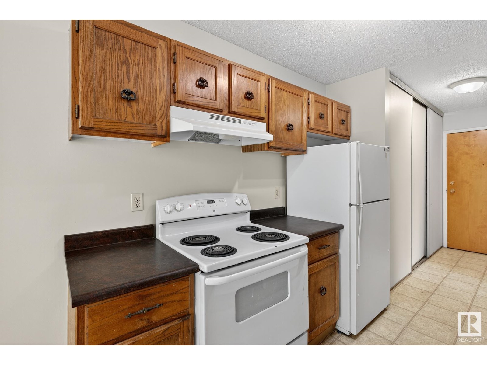 #208 10826 113 St Nw, Edmonton, Alberta  T5H 3J2 - Photo 10 - E4443494