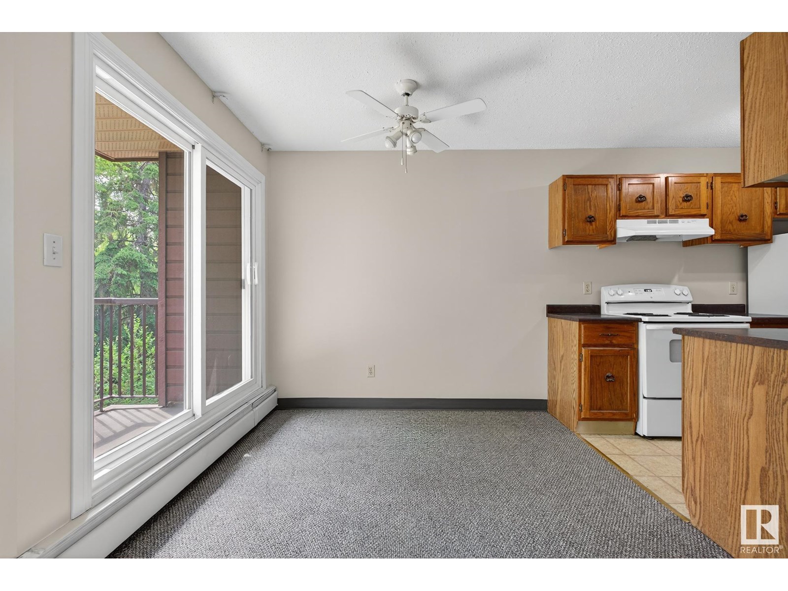 #208 10826 113 St Nw, Edmonton, Alberta  T5H 3J2 - Photo 13 - E4443494