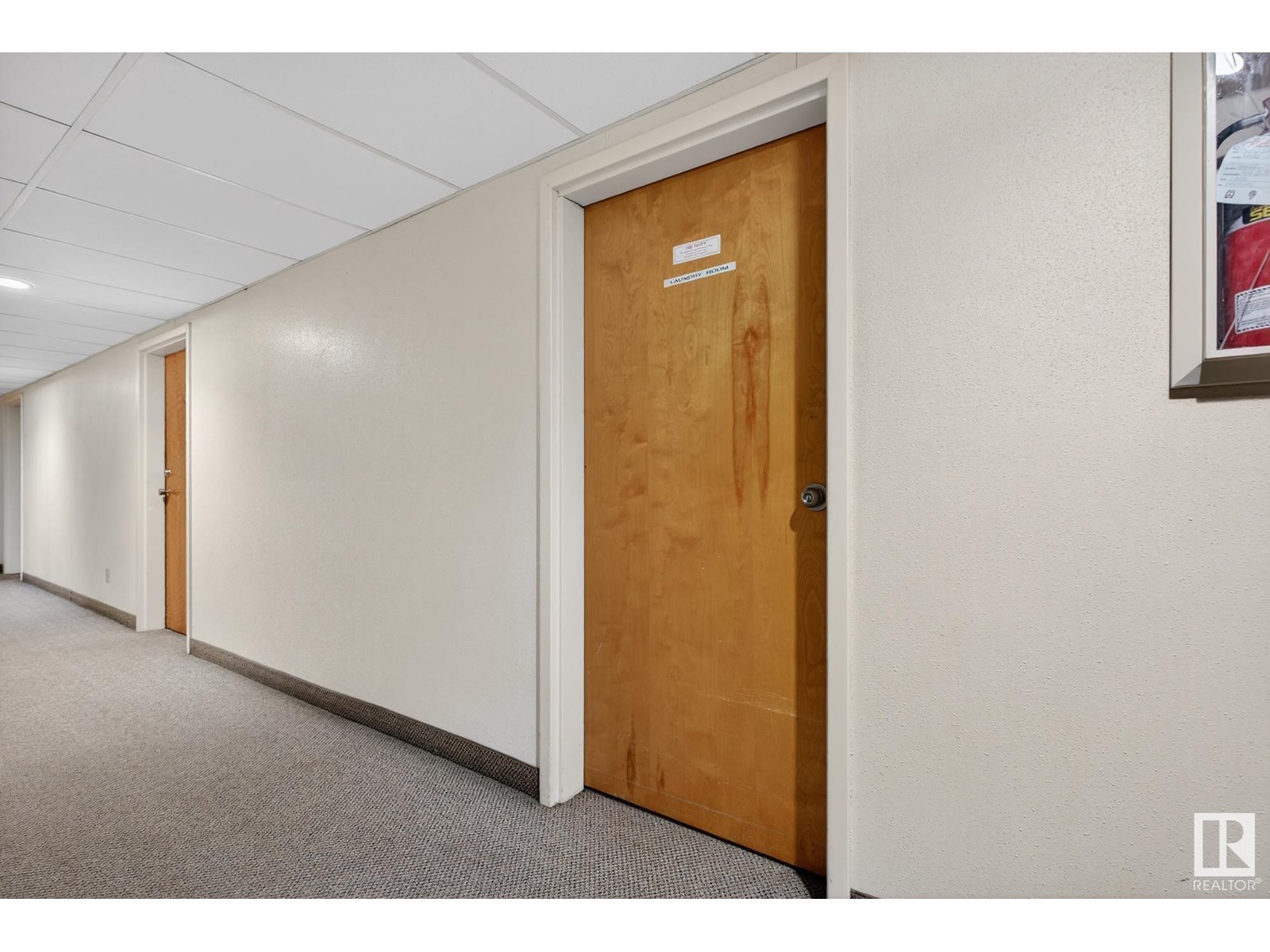 #208 10826 113 St Nw, Edmonton, Alberta  T5H 3J2 - Photo 21 - E4443494