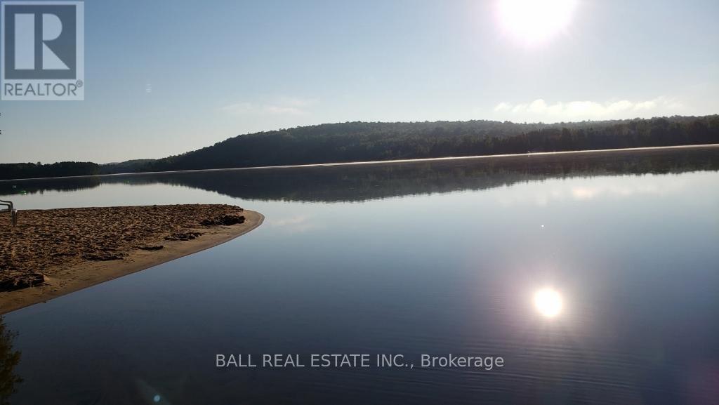 41 Arthur Street, Hastings Highlands (Mcclure Ward), Ontario  K0L 2K0 - Photo 1 - X12236040