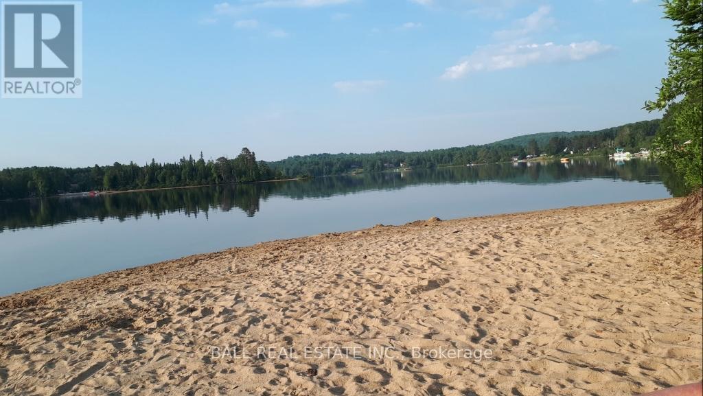 41 Arthur Street, Hastings Highlands (Mcclure Ward), Ontario  K0L 2K0 - Photo 13 - X12236040