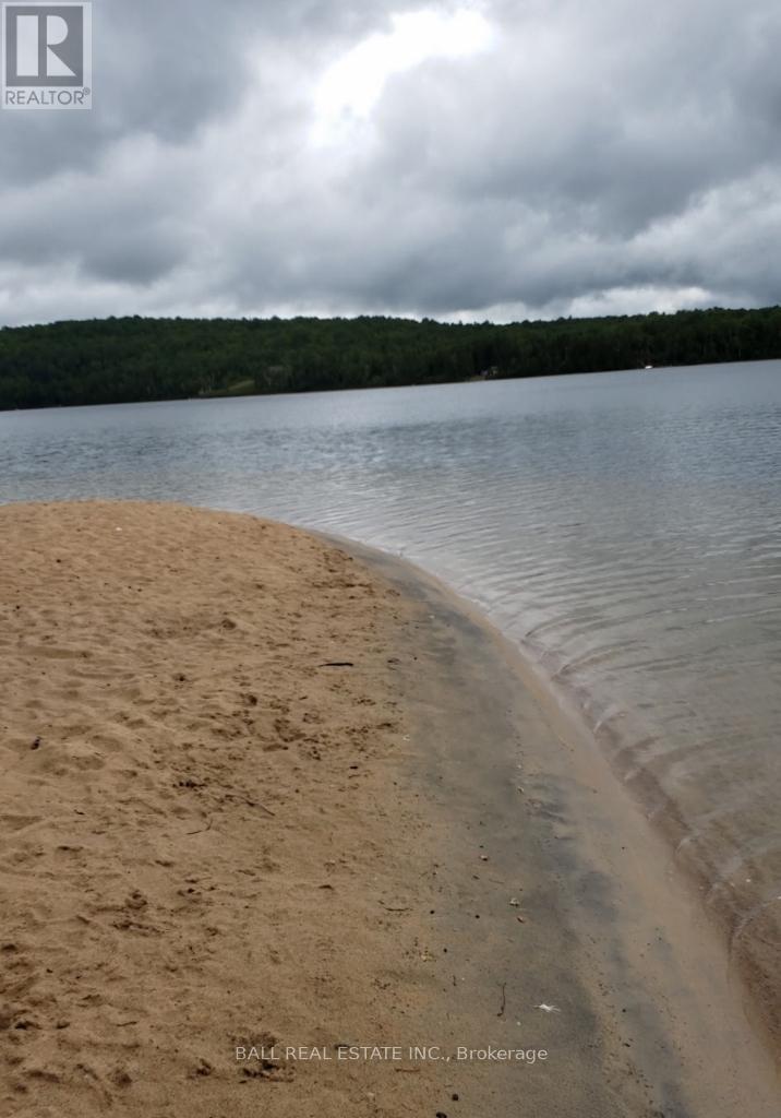 41 Arthur Street, Hastings Highlands (Mcclure Ward), Ontario  K0L 2K0 - Photo 14 - X12236040