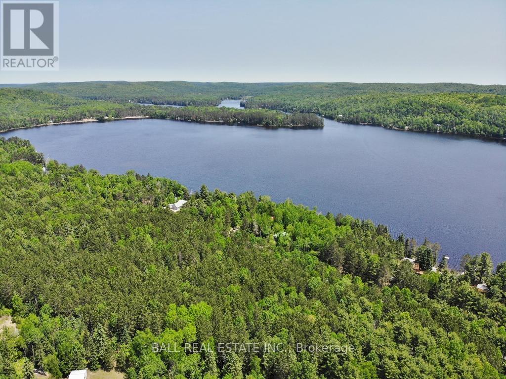 41 Arthur Street, Hastings Highlands (Mcclure Ward), Ontario  K0L 2K0 - Photo 48 - X12236040