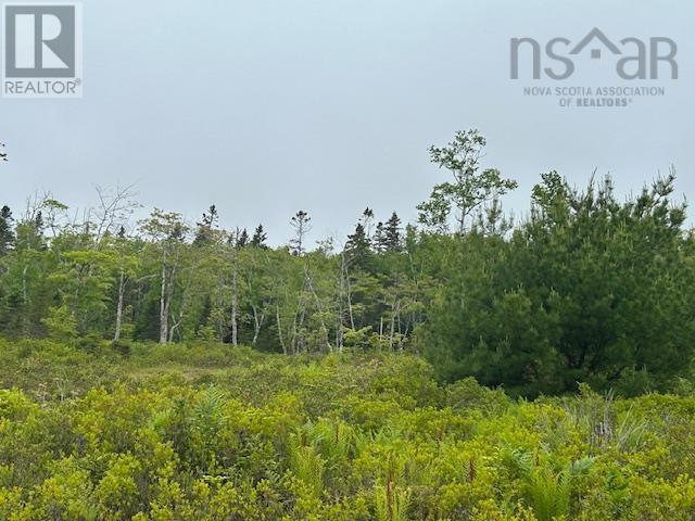 Lot 7 Bay Street, French Cove, Nova Scotia  B0E 3B0 - Photo 10 - 202515253
