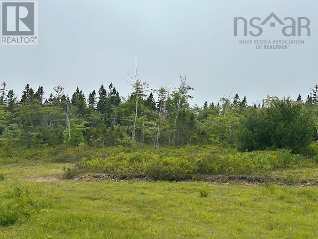 Lot 7 Bay Street, French Cove, Nova Scotia  B0E 3B0 - Photo 3 - 202515253