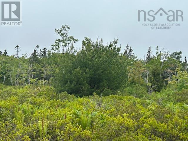 Lot 7 Bay Street, French Cove, Nova Scotia  B0E 3B0 - Photo 9 - 202515253