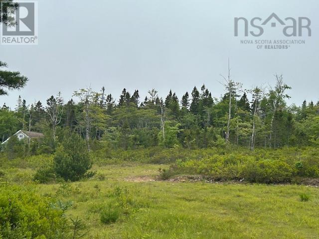 Lot 7 Bay Street, French Cove, Nova Scotia  B0E 3B0 - Photo 7 - 202515253