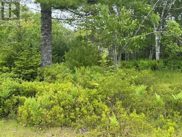 Lot 7 Bay Street, French Cove, Nova Scotia  B0E 3B0 - Photo 4 - 202515253