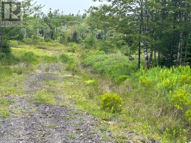 Lot 7 Bay Street, French Cove, Nova Scotia  B0E 3B0 - Photo 5 - 202515253
