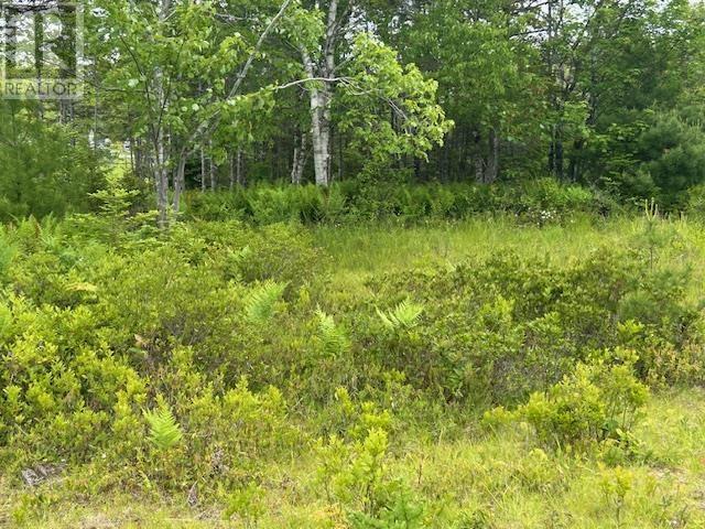 Lot 7 Bay Street, French Cove, Nova Scotia  B0E 3B0 - Photo 8 - 202515253