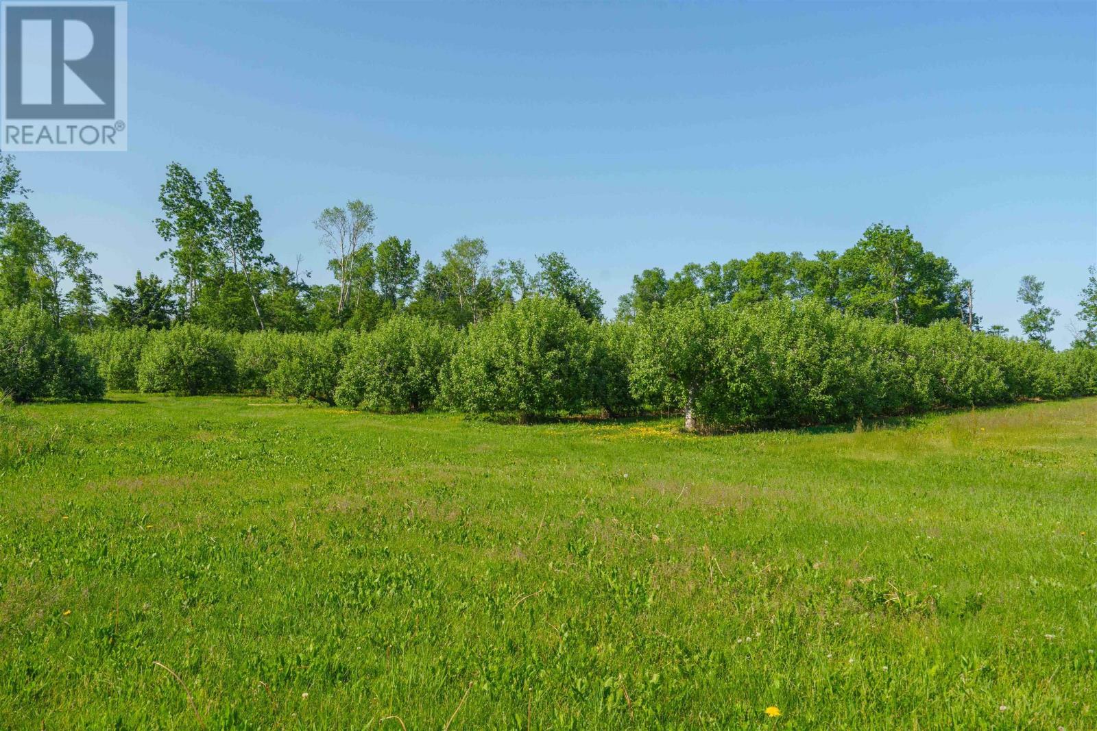 513 Rte 17, Lower Montague, Prince Edward Island  C0A 1R0 - Photo 6 - 202515261