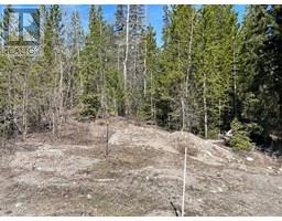 24 DAVID Crescent, elkford, British Columbia