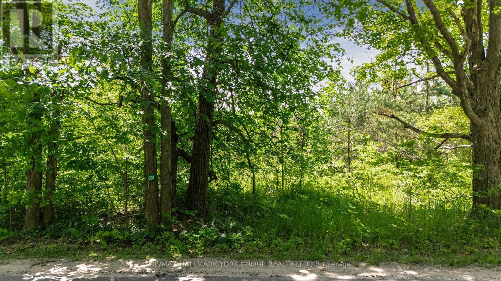 600 14th Line South, Oro-Medonte, Ontario  L3V 6H1 - Photo 17 - S12236347