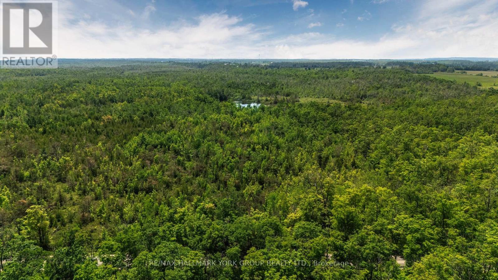 600 14th Line South, Oro-Medonte, Ontario  L3V 6H1 - Photo 3 - S12236347