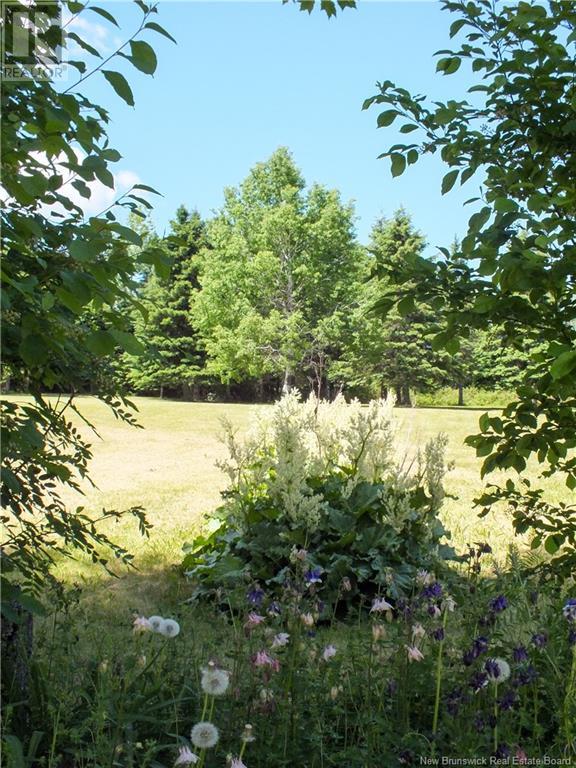 29 Sipprell Road, Greenfield, New Brunswick  E7L 3B4 - Photo 38 - NB111460