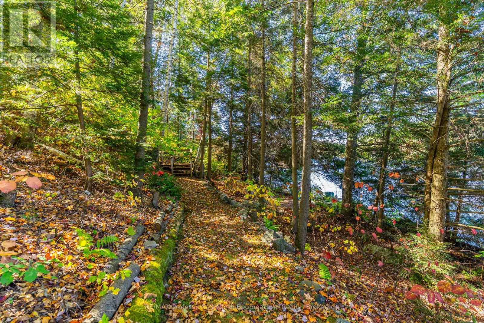 1132 Trapline Trail, Dysart Et Al, Ontario  K0M 1S0 - Photo 41 - X12236651