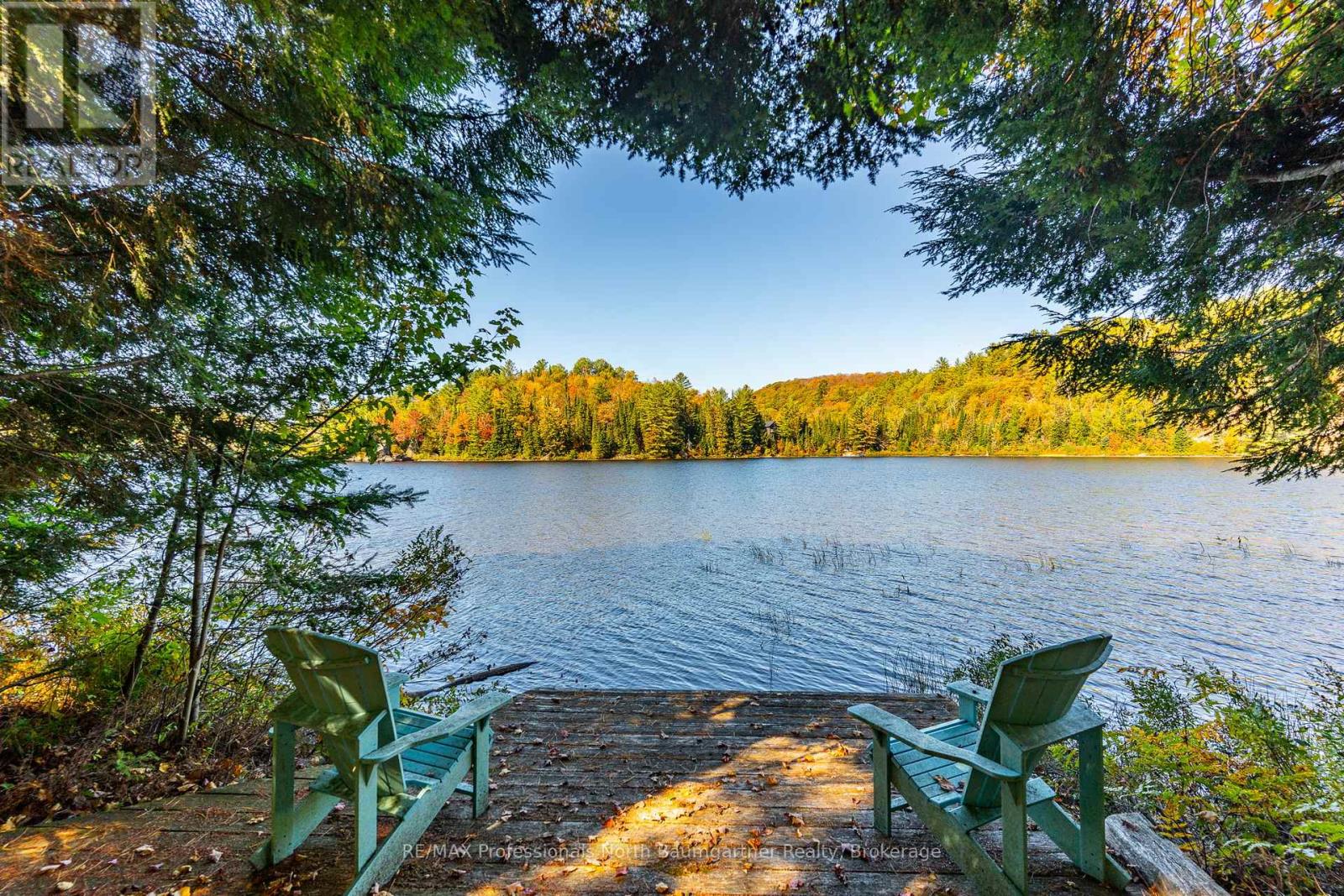 1132 Trapline Trail, Dysart Et Al, Ontario  K0M 1S0 - Photo 42 - X12236651