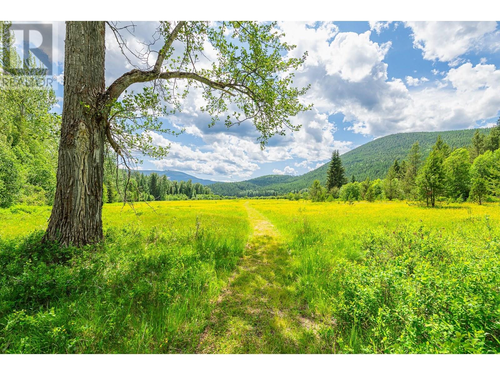 7957 3 Highway, Yahk, British Columbia  V0B 2P0 - Photo 36 - 10352480