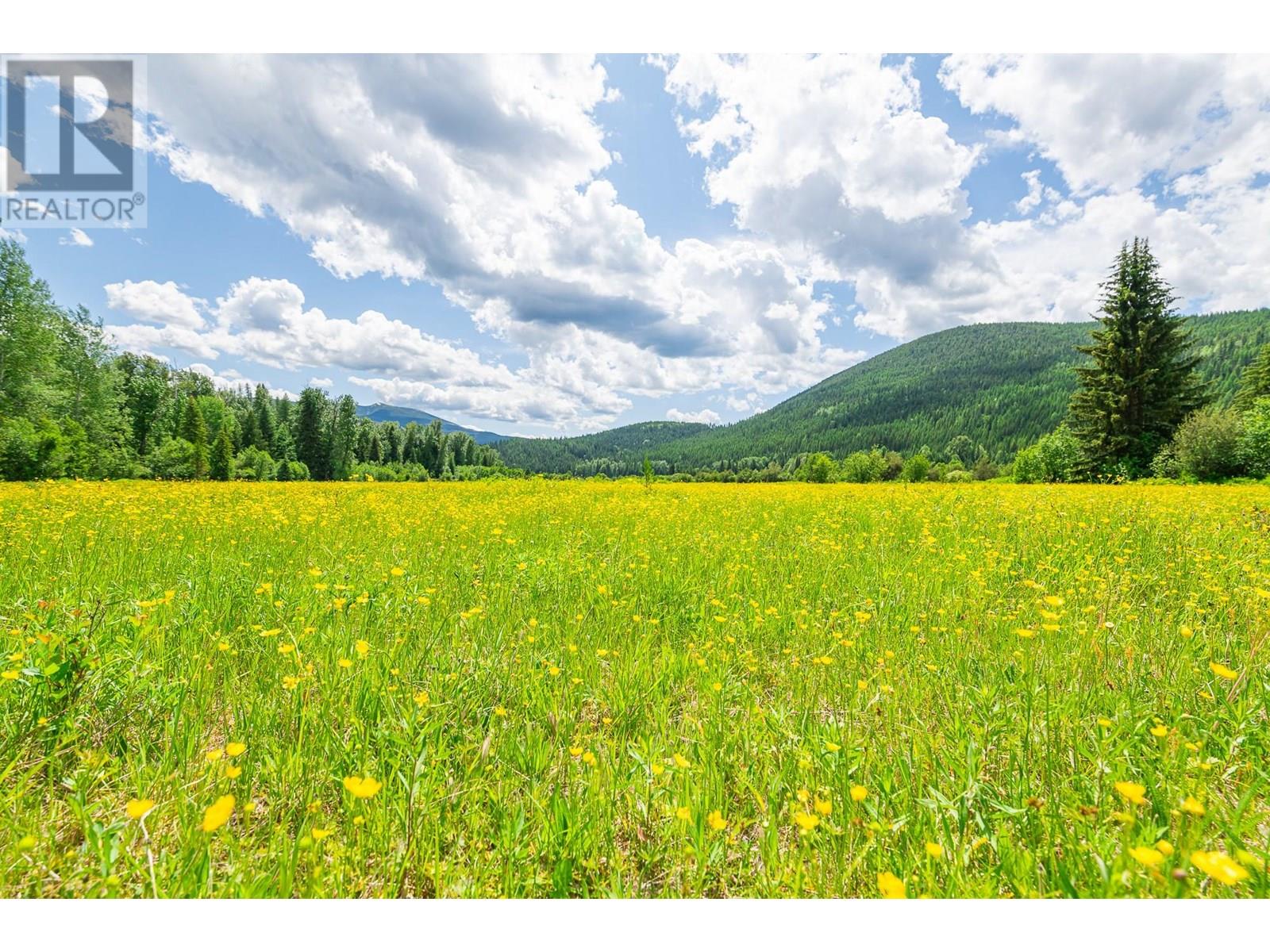 7957 3 Highway, Yahk, British Columbia  V0B 2P0 - Photo 37 - 10352480