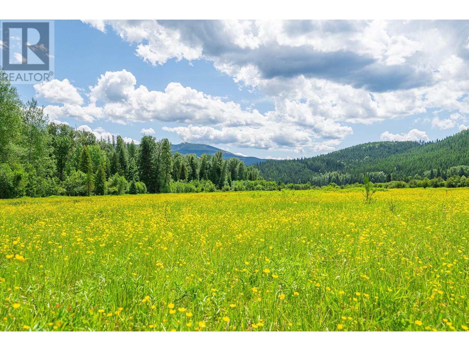 7957 3 Highway, Yahk, British Columbia  V0B 2P0 - Photo 39 - 10352480