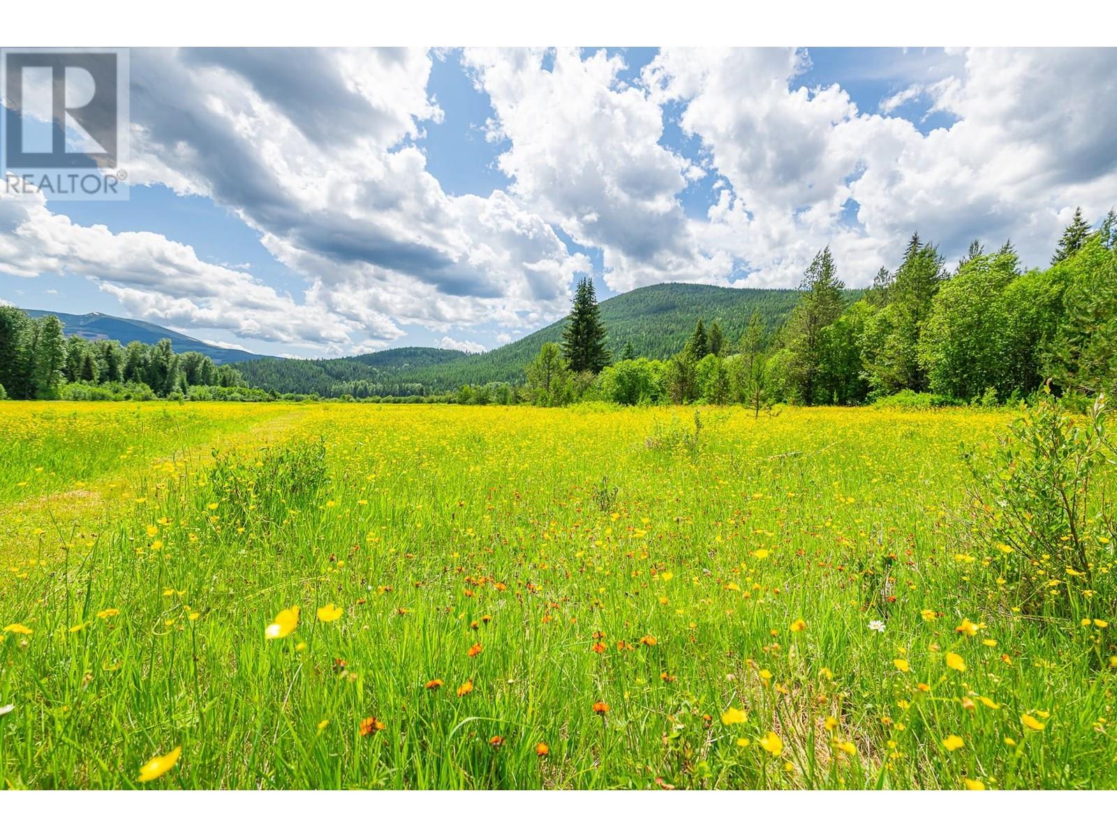 7957 3 Highway, Yahk, British Columbia  V0B 2P0 - Photo 38 - 10352480