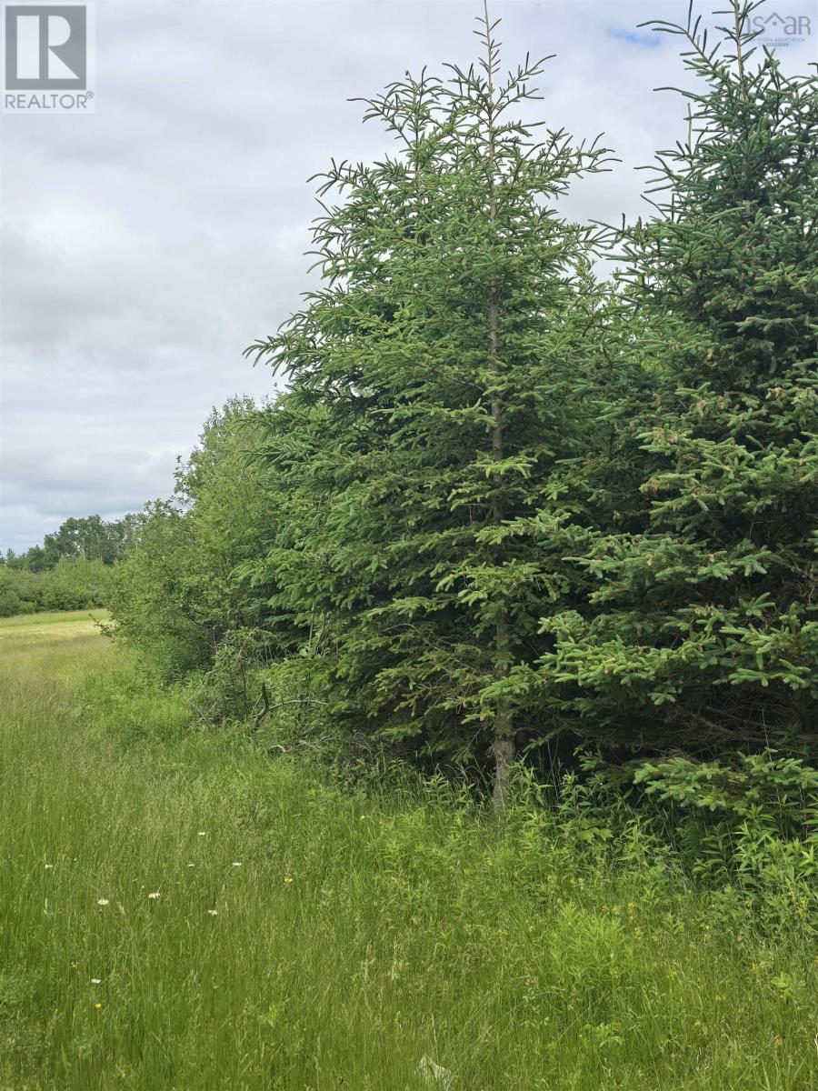 Lot 6 41 Brule Shore Road, Barrachois, Nova Scotia  B0K 1V0 - Photo 11 - 202515320