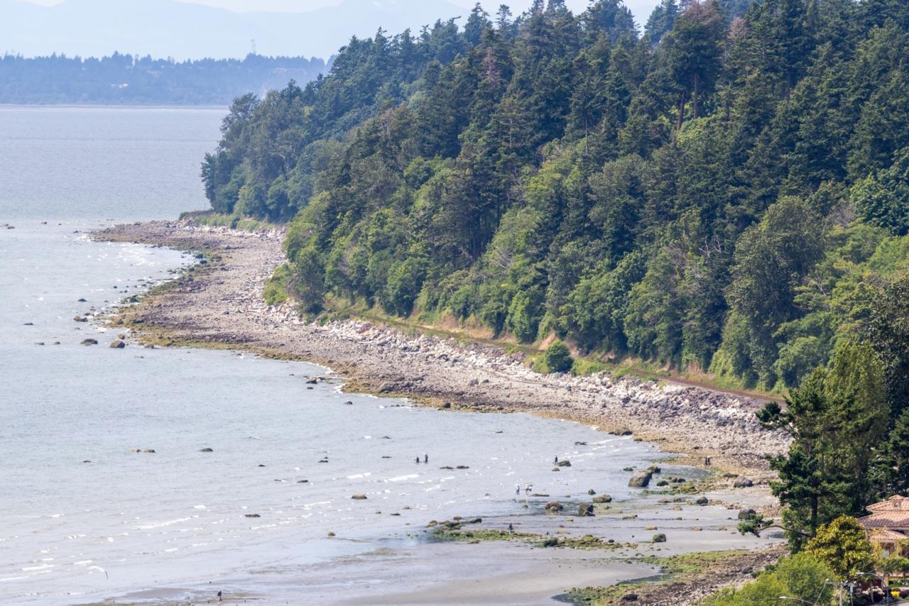 14999 Blackwood Lane, White Rock, British Columbia  V4B 2A8 - Photo 37 - R3017089