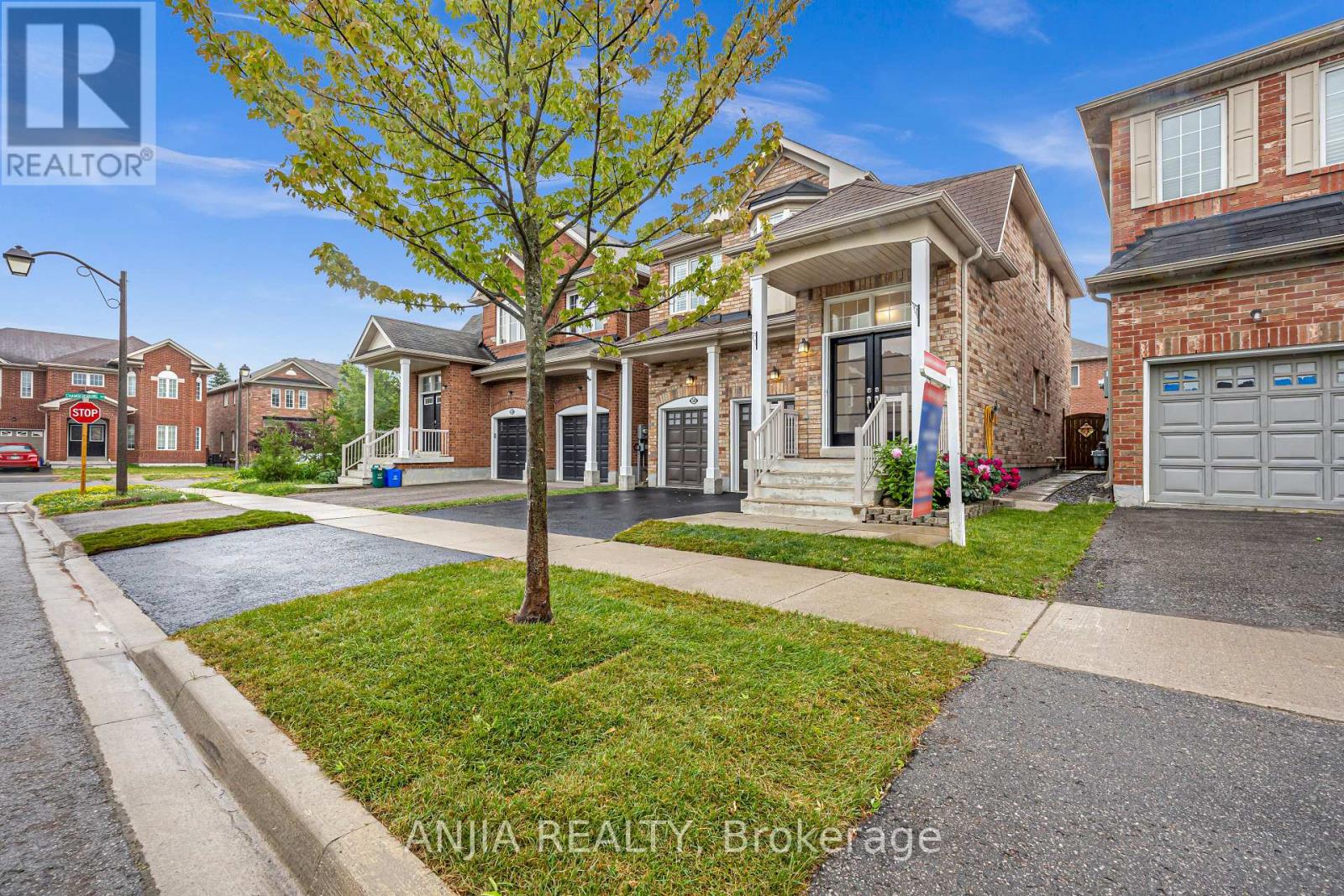 Property at 34 HORN STREET image 3