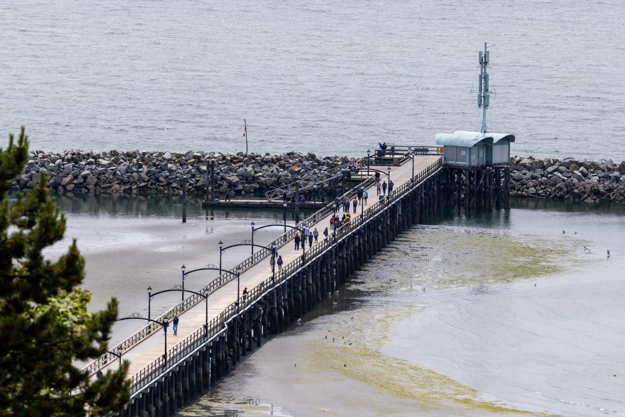 14999 Blackwood Lane, White Rock, British Columbia  V4B 2A8 - Photo 7 - R3017089