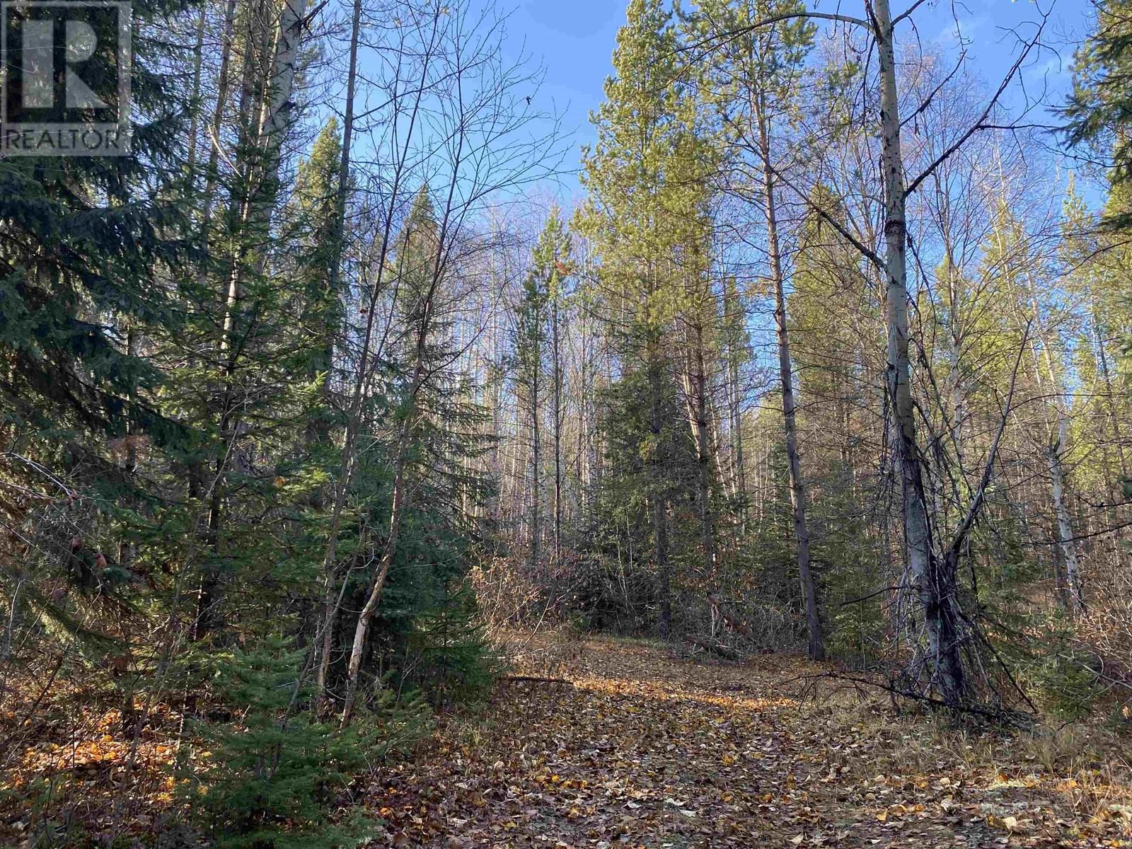 DL 7363 CRANBERRY LAKE ROAD, Valemount, British Columbia