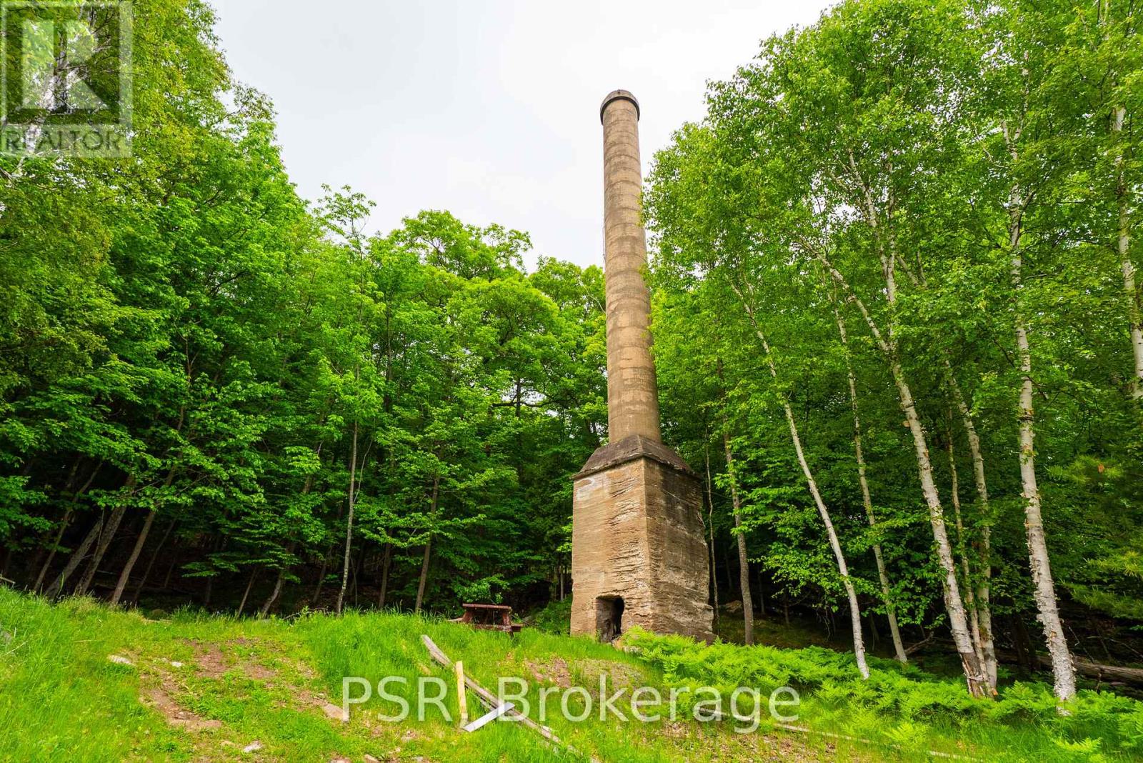 319 - 12 Bigwin Island, Lake Of Bays, Ontario  P0B 1A0 - Photo 19 - X12236254