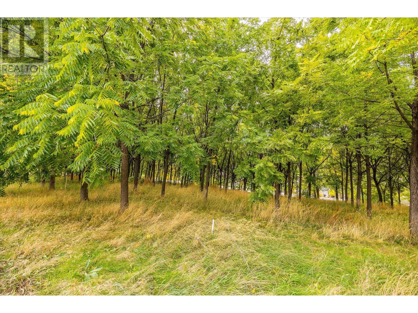 848 Webster Road, Kelowna, British Columbia  V1P 1C2 - Photo 2 - 10348388