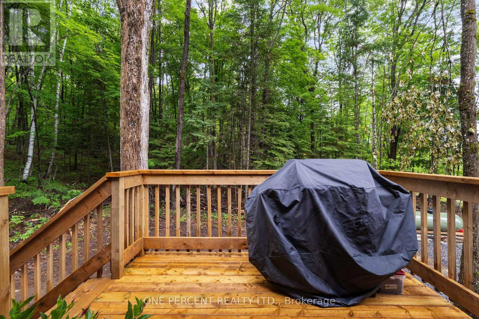 1057 Twelve Mile Lake Road, Minden Hills (Minden), Ontario  K0M 2K0 - Photo 32 - X12237147
