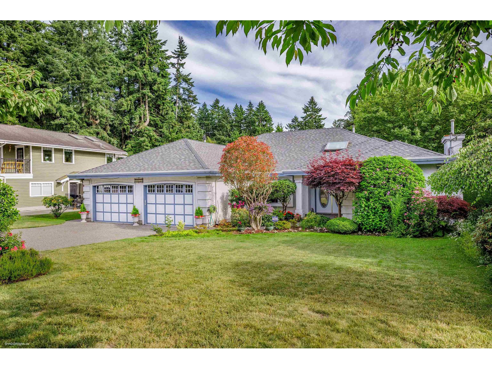 Property at 10994 64A AVENUE image 1