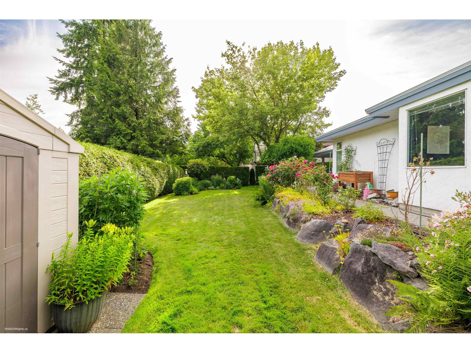 Property at 10994 64A AVENUE image 3
