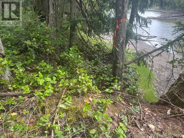77 Pilkey Point Rd, Thetis Island, British Columbia  V0R 2Y0 - Photo 27 - 1003495