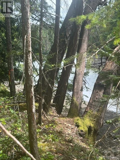 77 Pilkey Point Rd, Thetis Island, British Columbia  V0R 2Y0 - Photo 28 - 1003495