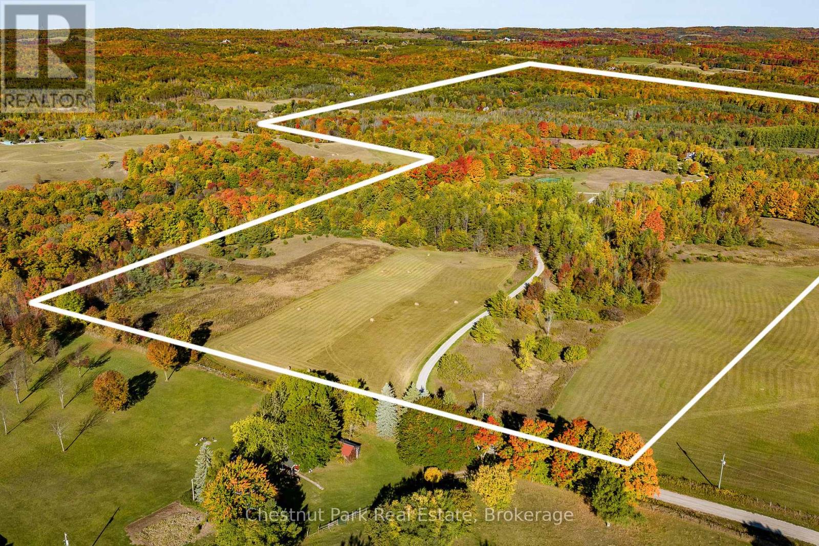 717380 1st Line E, Mulmur, Ontario  L9V 0G2 - Photo 15 - X12237798