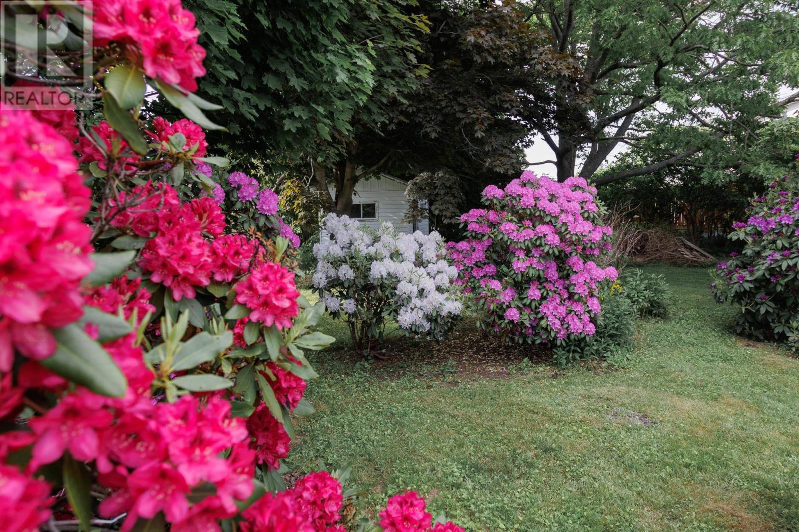 601 George Street, New Waterford, Nova Scotia  B1H 4E4 - Photo 5 - 202515350