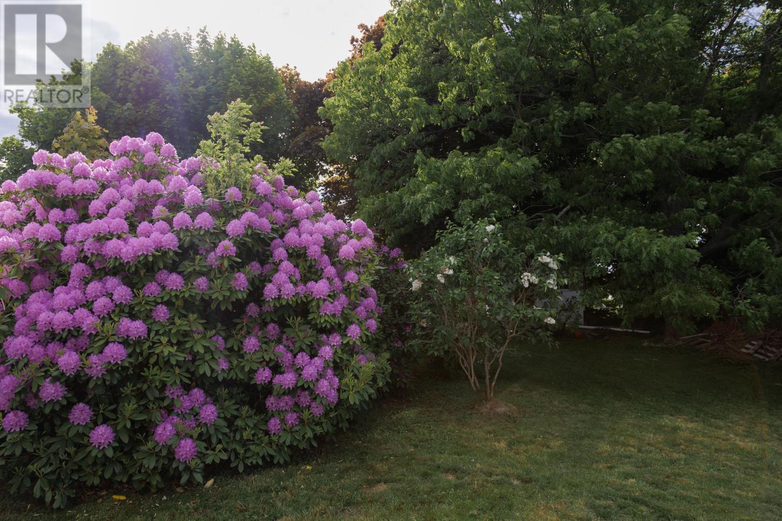 601 George Street, New Waterford, Nova Scotia  B1H 4E4 - Photo 6 - 202515350