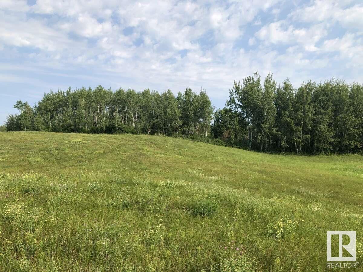 7220 Twp Road 532, Rural Parkland County, Alberta  T0E 0S0 - Photo 3 - E4443706