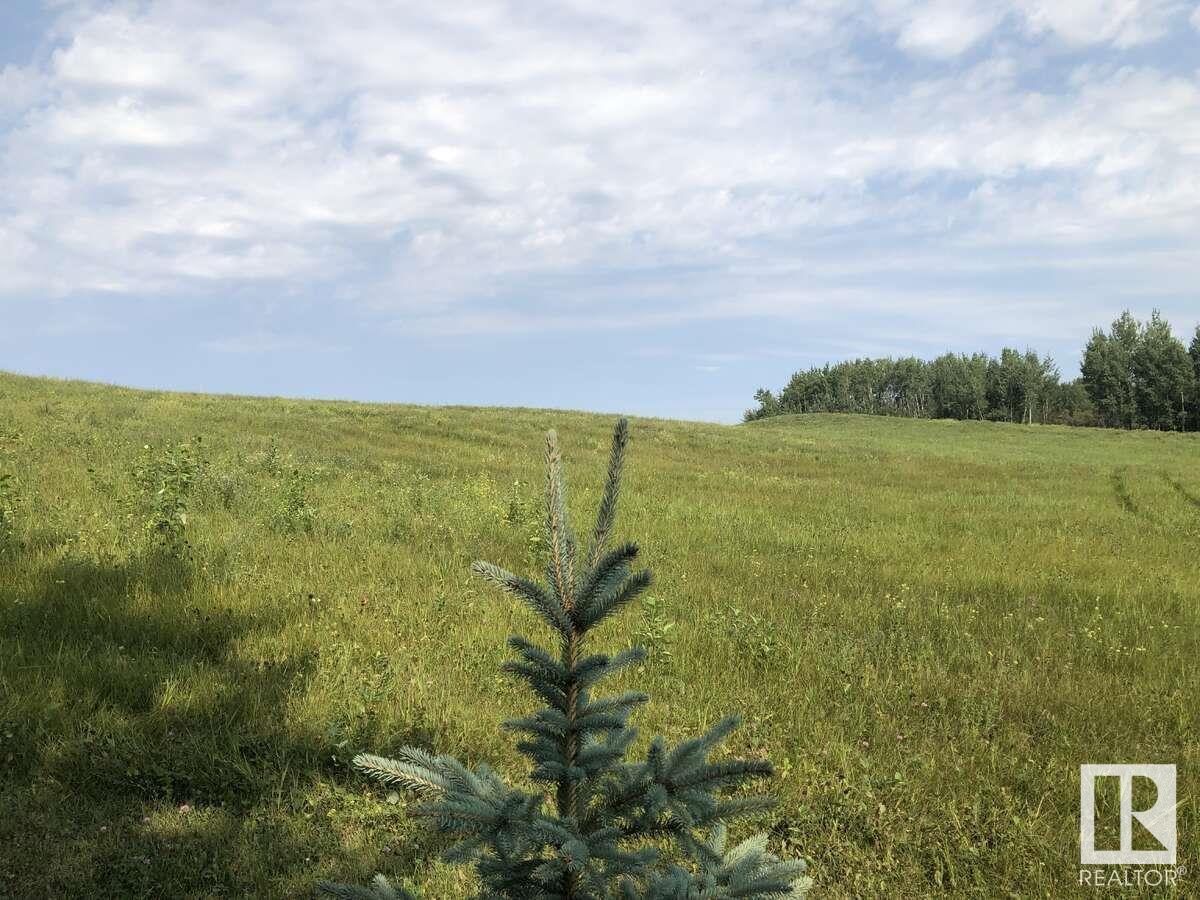 7220 Twp Road 532, Rural Parkland County, Alberta  T0E 0S0 - Photo 6 - E4443706