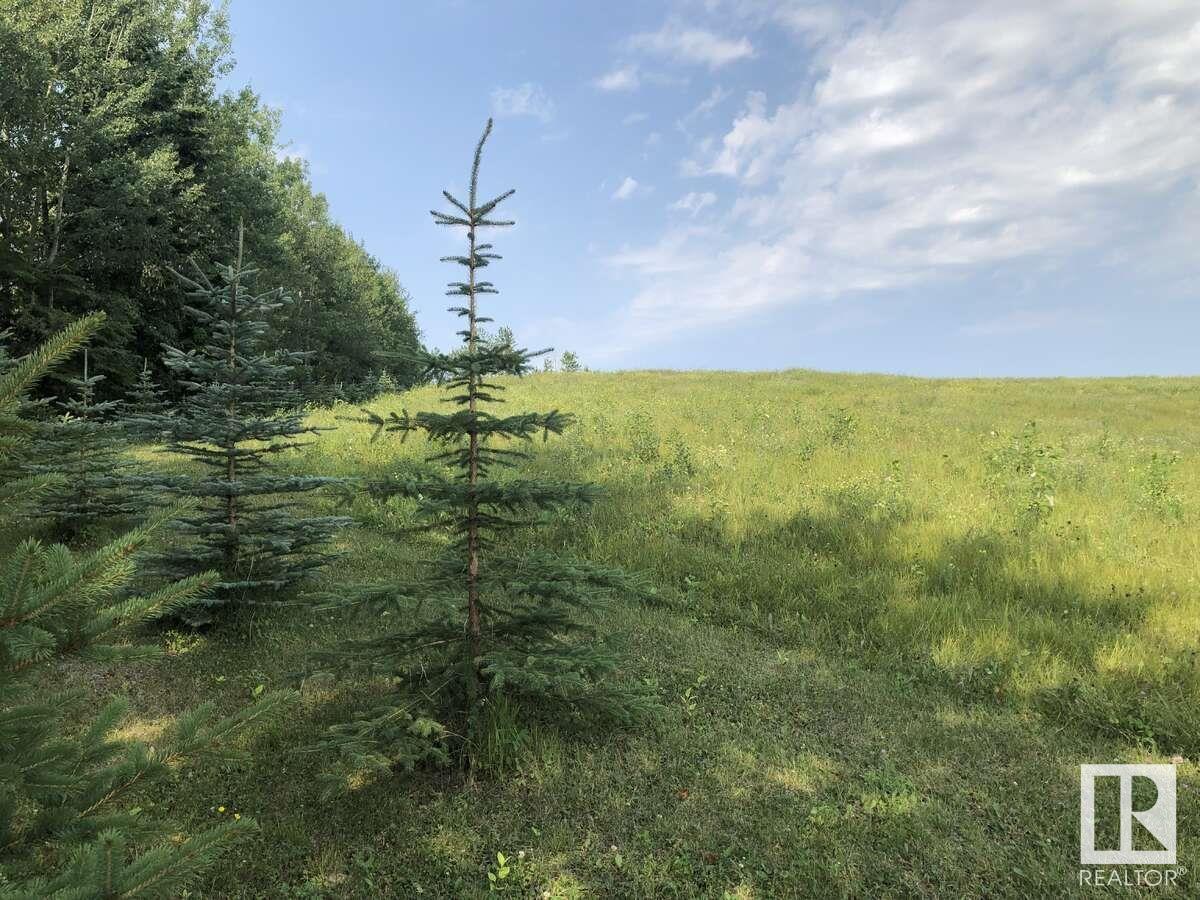 7220 Twp Road 532, Rural Parkland County, Alberta  T0E 0S0 - Photo 8 - E4443706