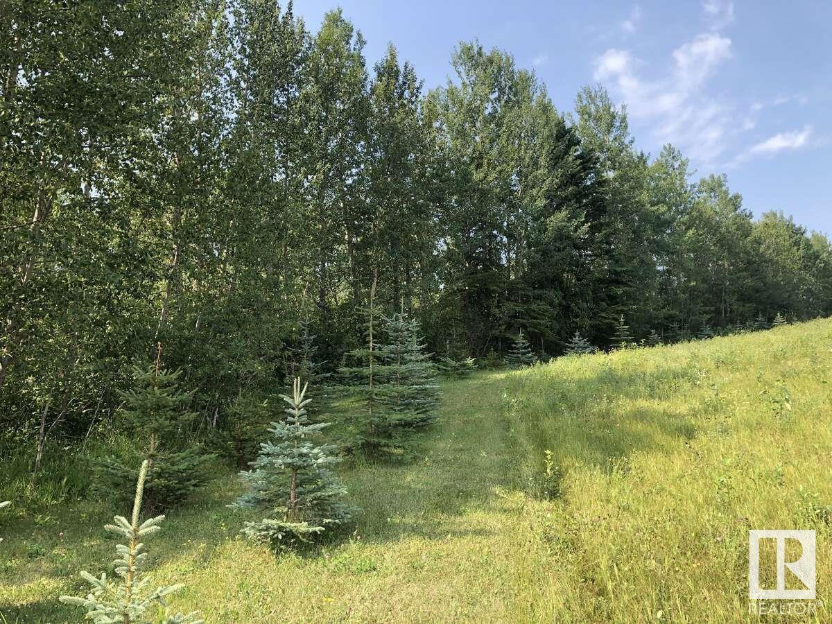 7220 Twp Road 532, Rural Parkland County, Alberta  T0E 0S0 - Photo 9 - E4443706