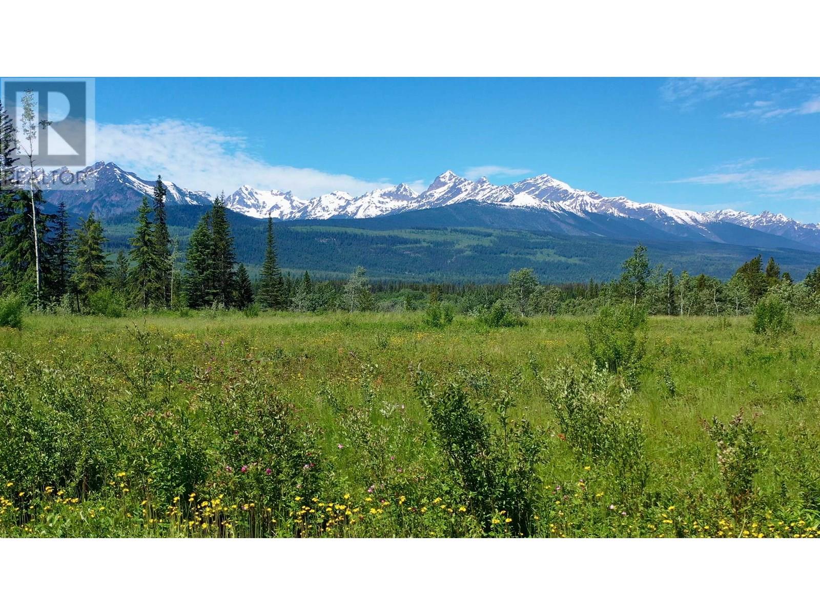 LOT 3 O'DWYER ROAD, Valemount, British Columbia