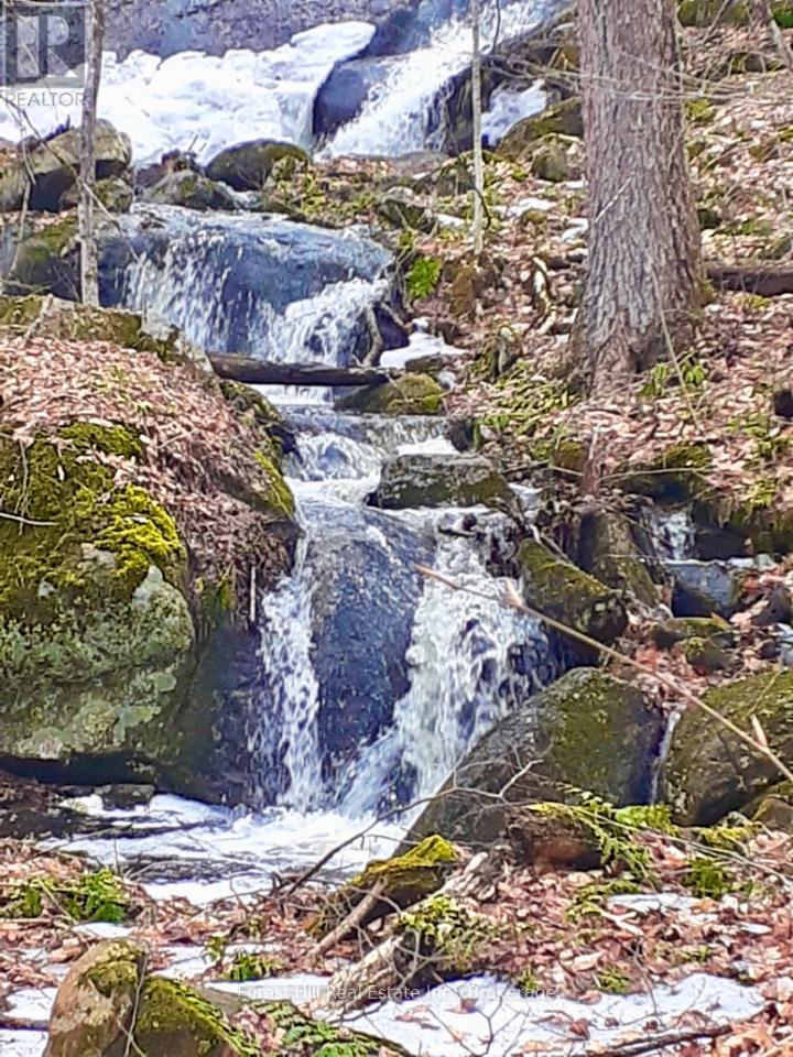 1474 Etwell Road, Huntsville, Ontario  P1H 2J2 - Photo 50 - X12237323