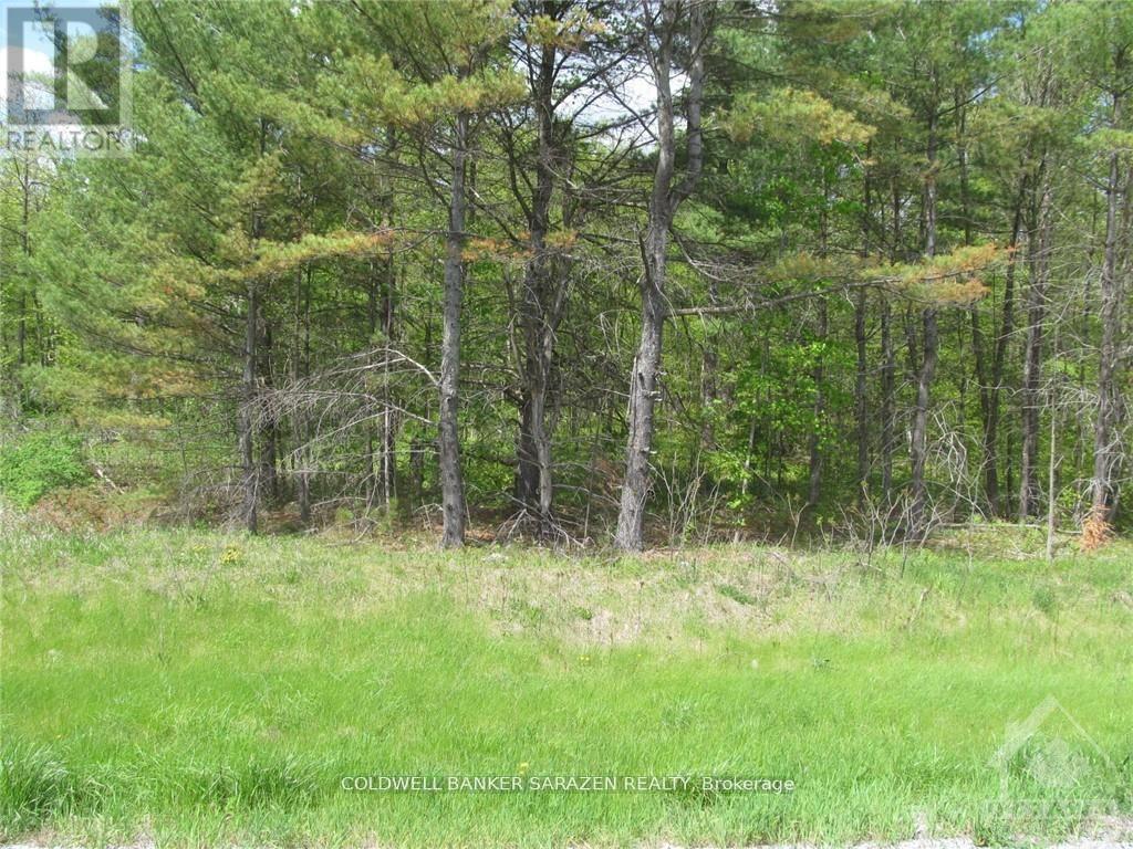 00 Scheel Drive W, Mcnab/braeside, Ontario  K7S 3G8 - Photo 3 - X12236635