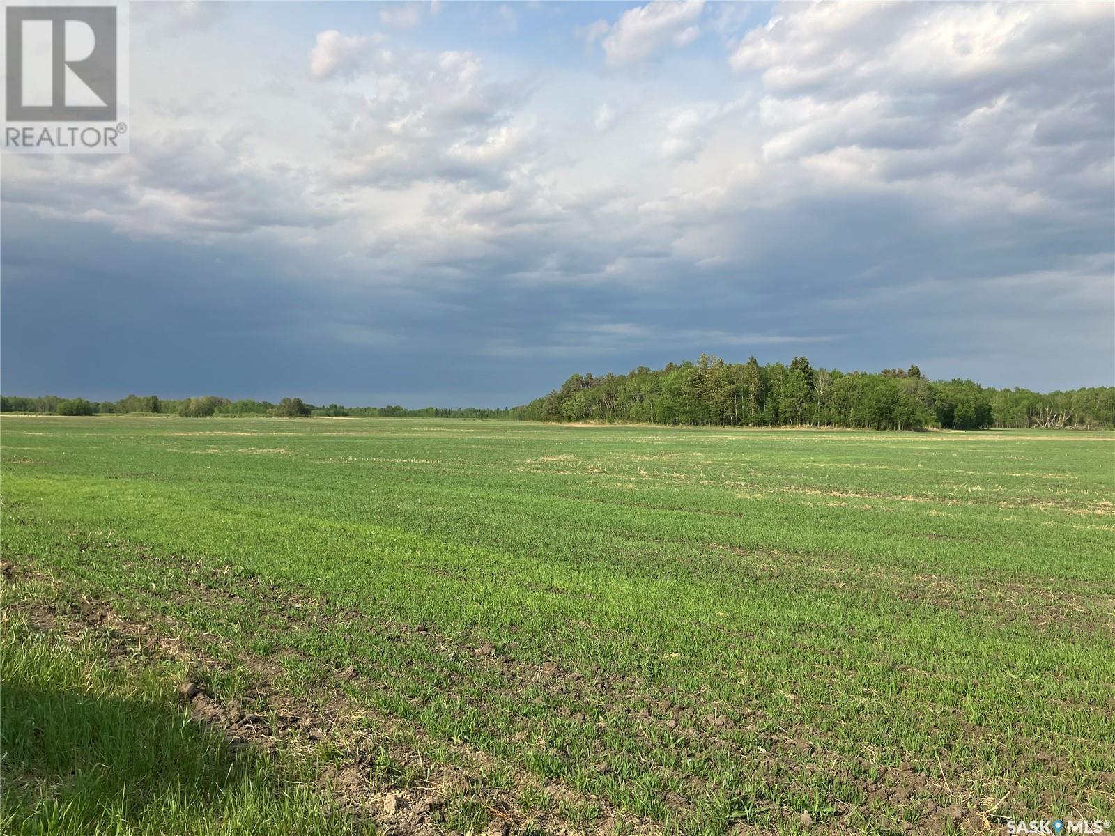 Clark Land, Moose Range Rm No. 486, Saskatchewan  S0E 1E0 - Photo 6 - SK997174
